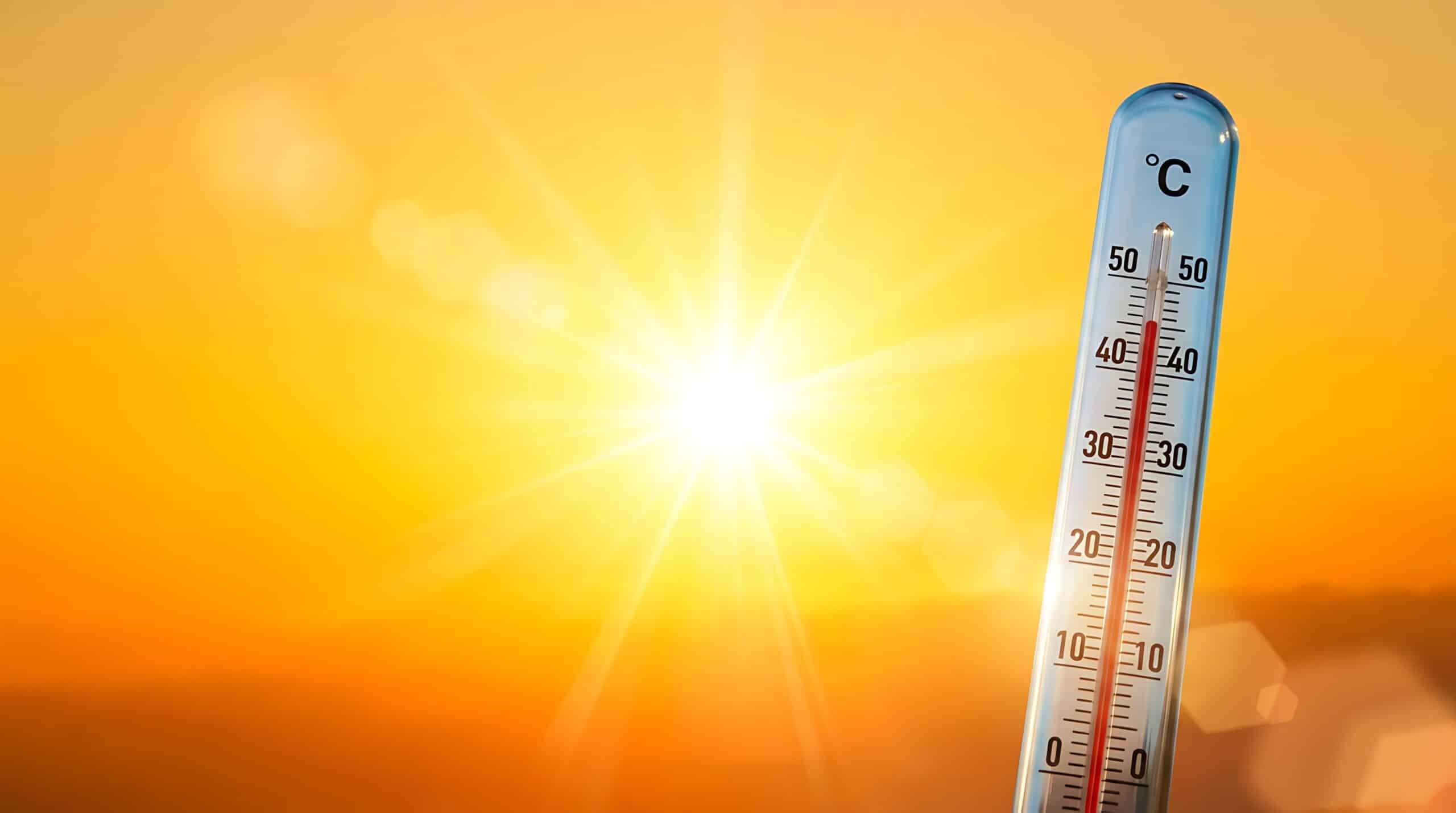 Summer Heat Prep for Charlotte Garages scaled